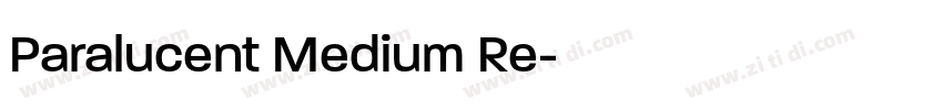 Paralucent Medium Re字体转换